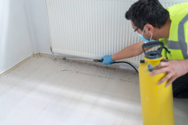 Best Pest Control Treatment  in Belton, MO