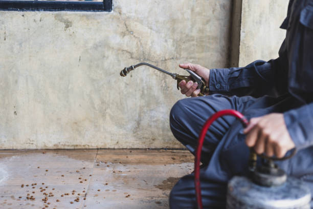 Best Emergency Pest Control  in Belton, MO