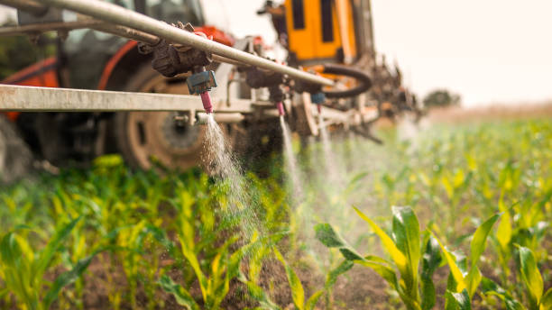 Reliable Belton, MO Pest Control Solutions